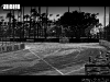 IMG_0983 web copy
